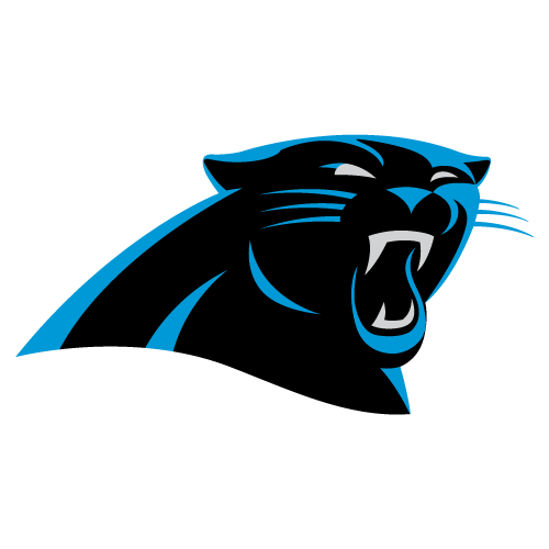 NFL - Carolina Panthers Ticket Runner 30x72 