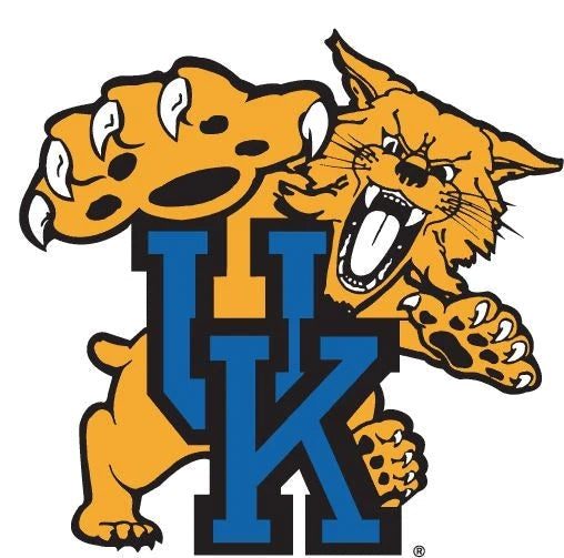 Kentucky Wildcats Resin Logo Bangle in Blue - Two Chicks & Co. Louisville