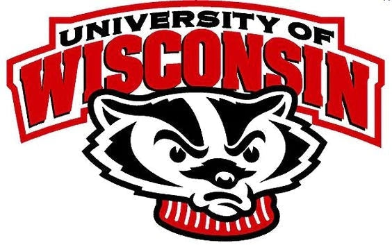 Mejor Precio En A Granel Mens Personnalisé Wisconsin Badgers