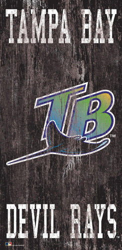 Tampa Bay Rays 0786-Heritage Logo w/ Team Name 6x12