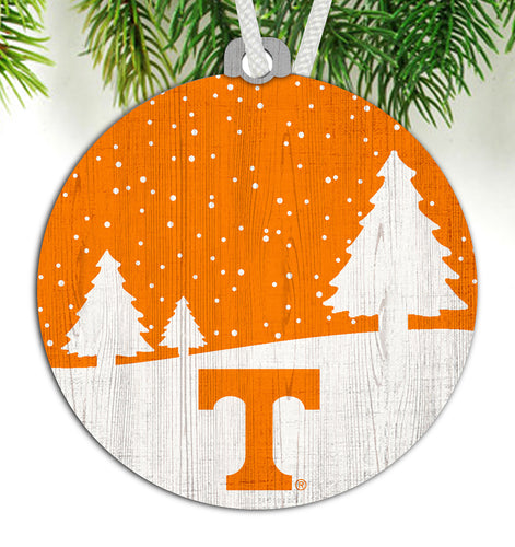 Wholesale C0978-Ornament / C0978-Tennessee