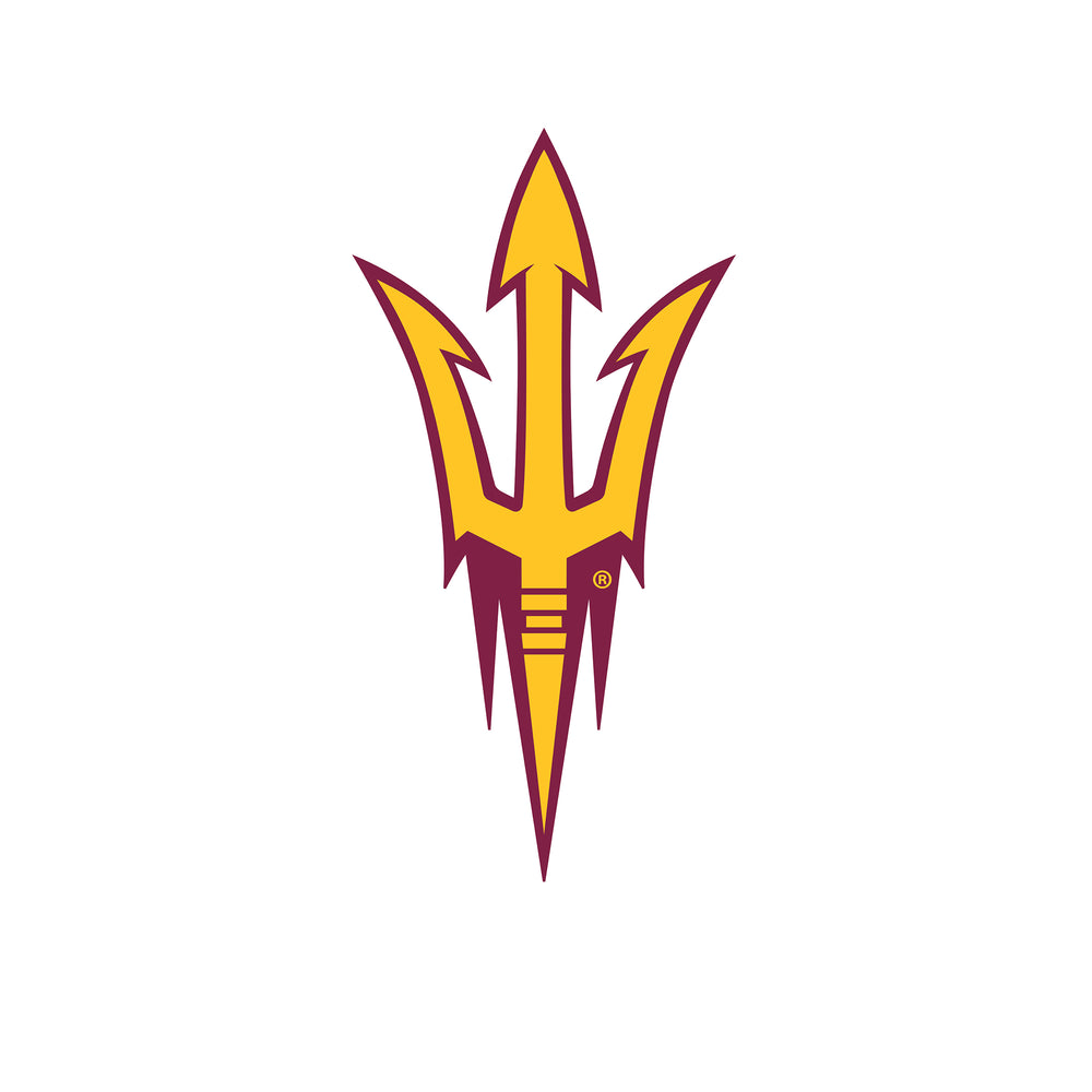 Wholesale C0983-Team Logo 8in Cutout (24in is 0843) / C0983-Arizona State