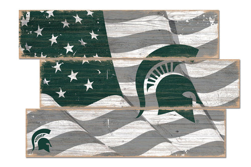 Wholesale C1028-Flag 3 Plank (Todd's Resize) / C1028-Michigan State