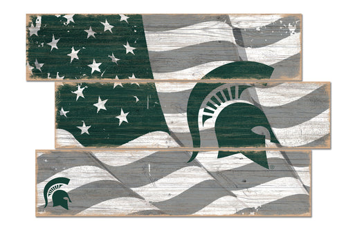 Wholesale C1028-Flag 3 Plank / C1028-Michigan State