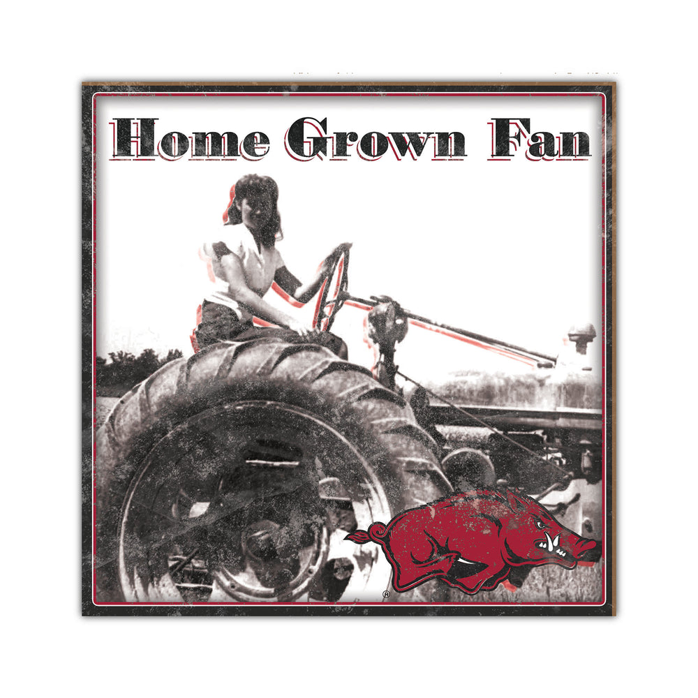 Wholesale C2102-Home Grown 10x10 / C2102-Arkansas