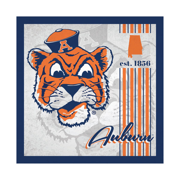 Wholesale C2107-Album 10x10 / C2107-Auburn