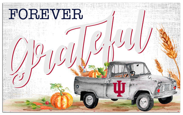Wholesale C2138-Forever Grateful 11x19 / C2138-Indiana