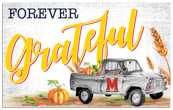 Wholesale C2138-Forever Grateful 11x19 / C2138-Maryland