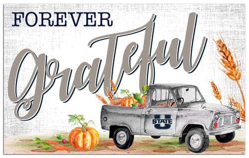 Wholesale C2138-Forever Grateful 11x19 / C2138-Utah State