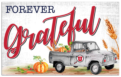 Wholesale C2138-Forever Grateful 11x19 / C2138-Utah