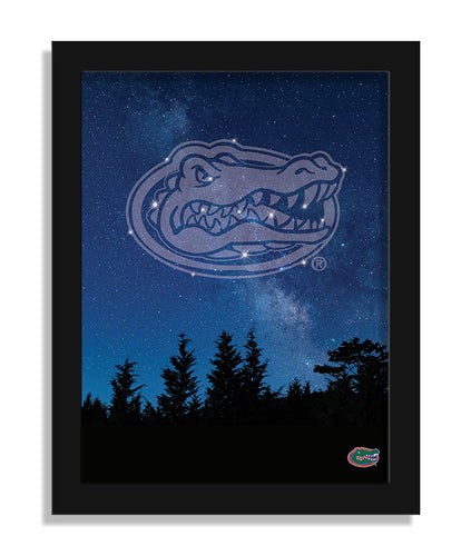 Wholesale C2213-In The Stars 12x16 / C2213-Florida