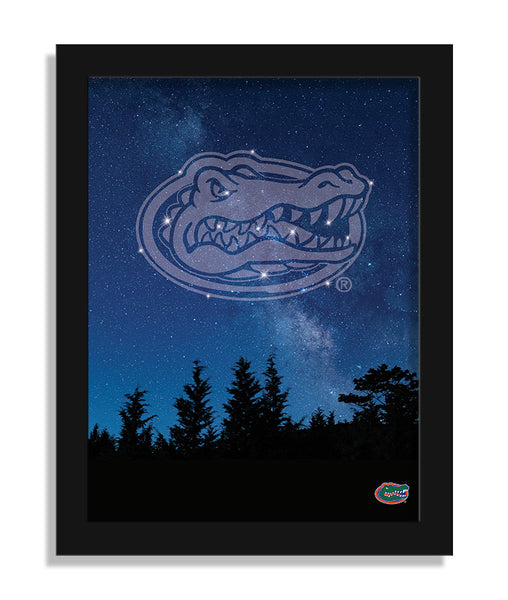 Wholesale C2213-In The Stars 12x16 / C2213-Florida
