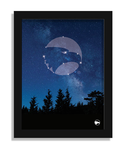 Wholesale C2213-In The Stars 12x16 / C2213-Georgia Southern