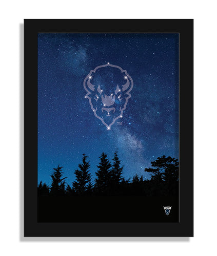 Wholesale C2213-In The Stars 12x16 / C2213-Howard