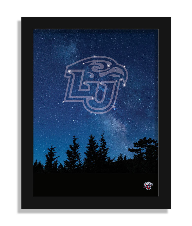 Wholesale C2213-In The Stars 12x16 / C2213-Liberty