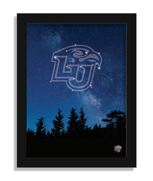 Wholesale C2213-In The Stars 12x16 / C2213-Liberty