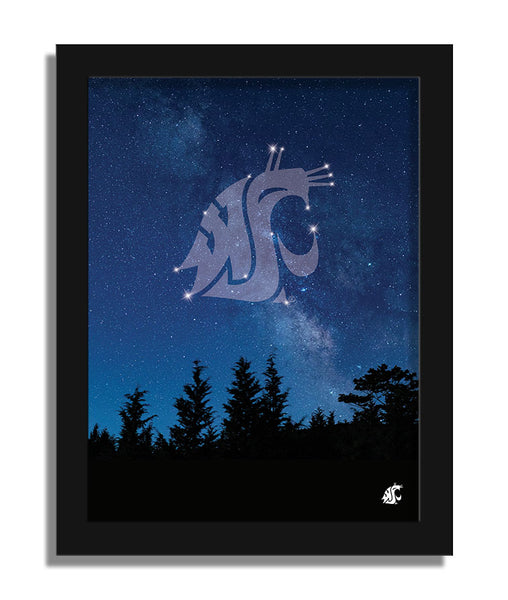 Wholesale C2213-In The Stars 12x16 / C2213-Washington State