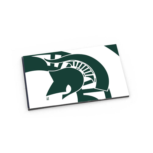 WHOLESALE MICHIGAN STATE DYNAMIC MAGNET