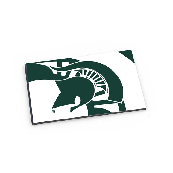 WHOLESALE MICHIGAN STATE DYNAMIC MAGNET