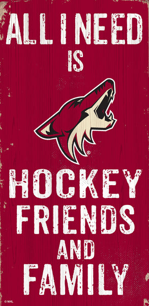 Wholesale NHL / H0738-All I Need 6x12 V / H0738-Arizona Coyotes