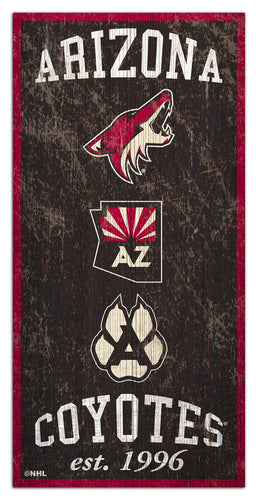 Wholesale NHL / H1011-Heritage 6x12 / H1011-Arizona Coyotes