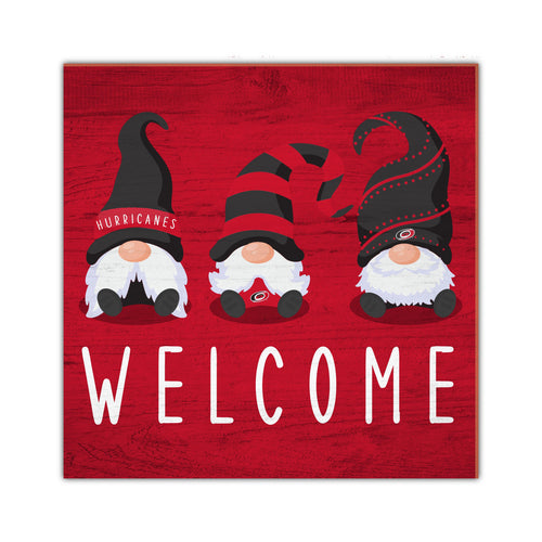 Wholesale NHL / H2089-Welcome Gnomes 10x10in / H2089-Carolina Hurricanes