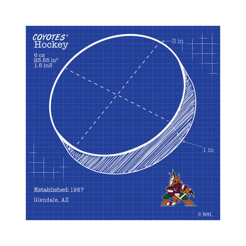 Wholesale NHL / H2108-Ball Blueprint 10x10 / H2108-Arizona