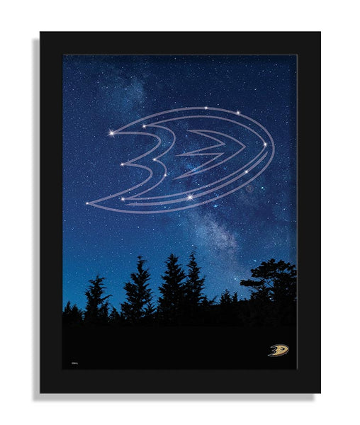 Wholesale NHL / H2213-In The Stars 12x16 / H2213-Anaheim Ducks