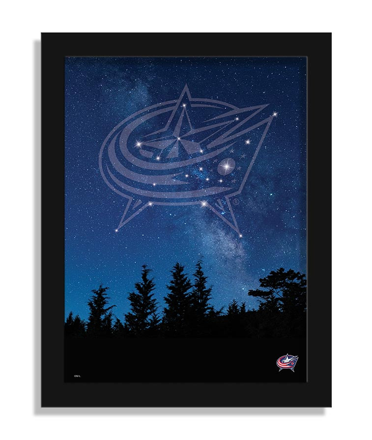 Wholesale NHL / H2213-In The Stars 12x16 / H2213-Columbus Blue Jackets