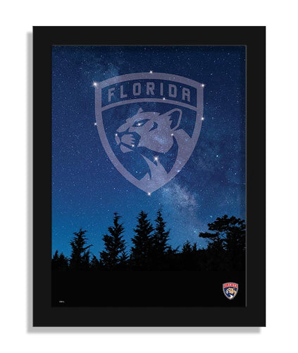 Wholesale NHL / H2213-In The Stars 12x16 / H2213-Florida Panthers