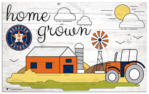 Wholesale MLB2010-Home Grown 11x19 / M2010-Houston Astros