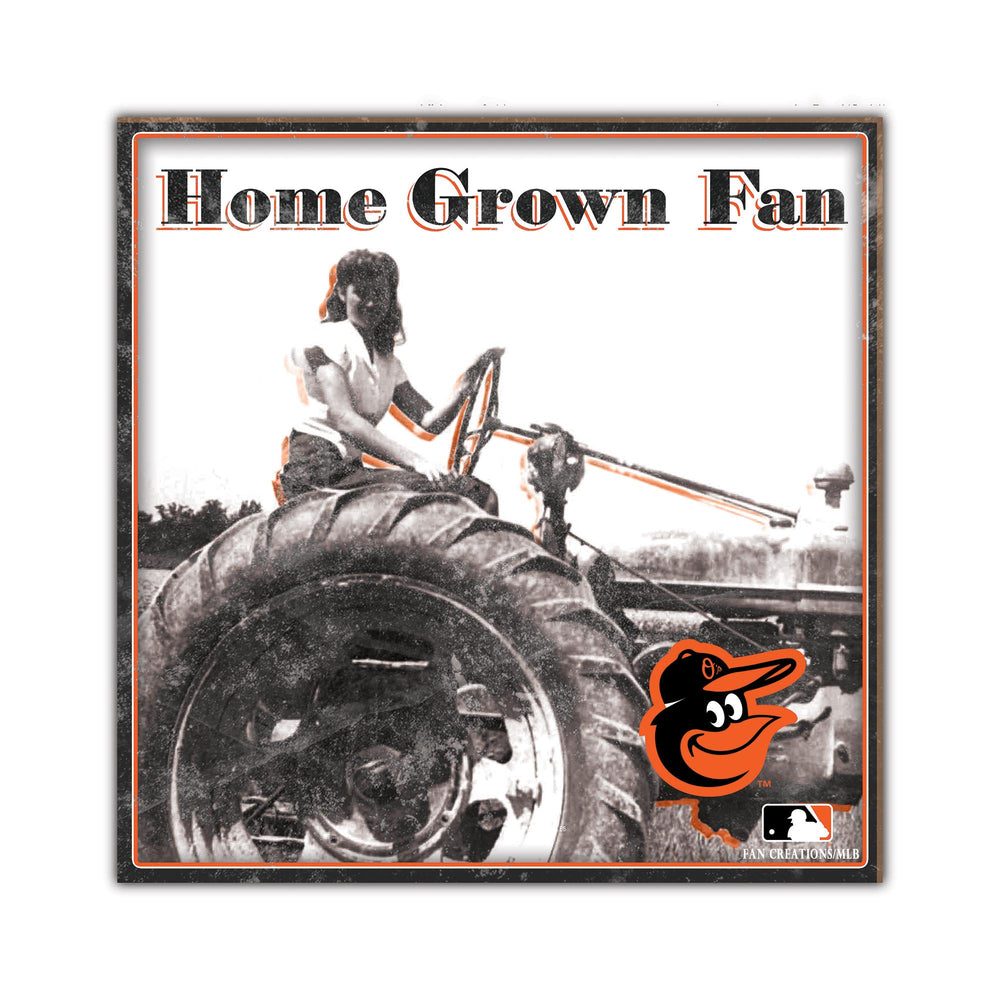 Wholesale MLB2102-Home Grown 10x10 / M2102-Baltimore Orioles