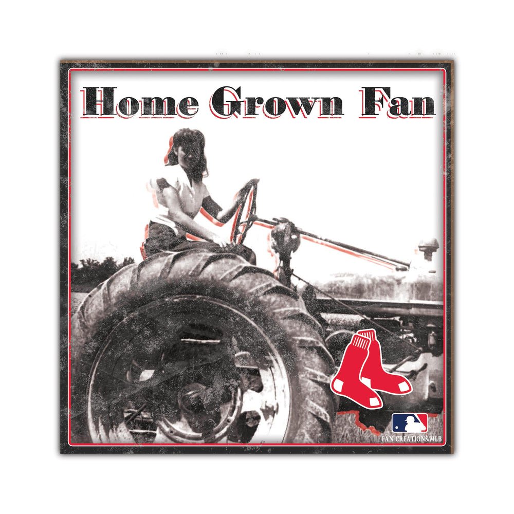 Wholesale MLB2102-Home Grown 10x10 / M2102-Boston Red Sox