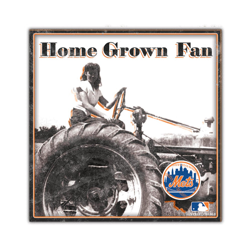 Wholesale MLB2102-Home Grown 10x10 / M2102-New York Mets