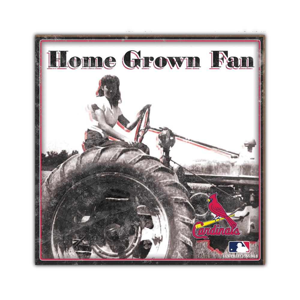 Wholesale MLB2102-Home Grown 10x10 / M2102-St. Louis Cardinals