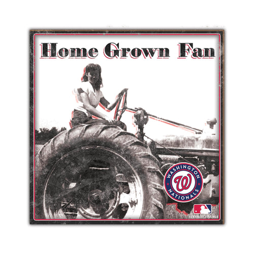 Wholesale MLB2102-Home Grown 10x10 / M2102-Washington Nationals