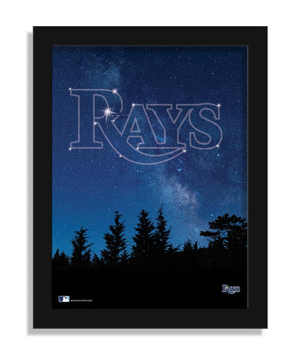 Wholesale MLB2213-In The Stars 12x16 / M2213-Tampa Bay Rays