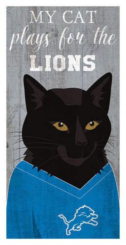 Wholesale NFL1013-Viral Cat 6x12 / N1013-Detroit Lions