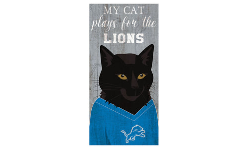 Wholesale NFL1013-Viral Cat 6x12 / GRP / N1013-Detroit Lions
