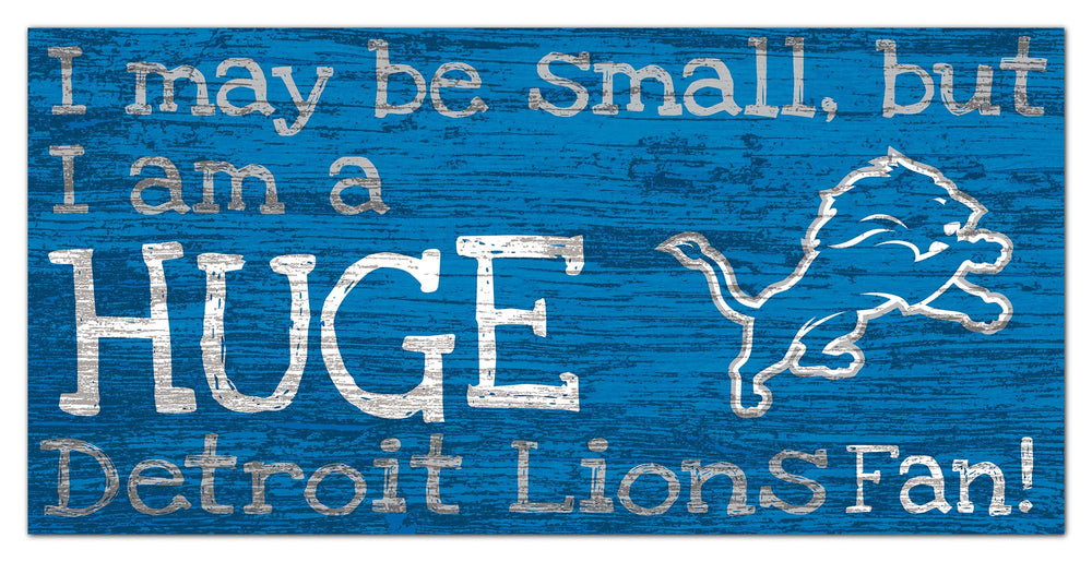 Wholesale NFL2028-Huge Fan 6x12 / N2028-Detroit Lions