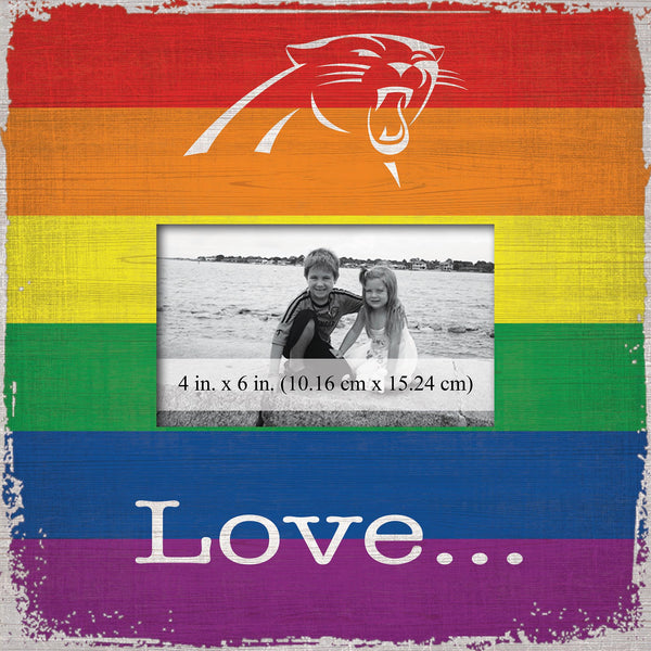 Wholesale NFL2065-Love Pride 10x10 Frame / N2065-Carolina Panthers
