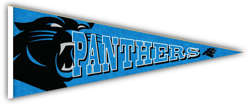 Wholesale NFL2092-Rising Pennant 24in / N2092-Carolina Panthers