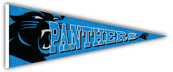 Wholesale NFL2092-Rising Pennant 24in / N2092-Carolina Panthers