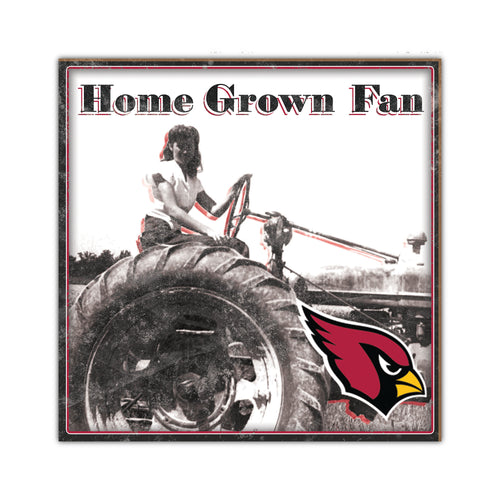 Wholesale NFL2102-Home Grown 10x10 / N2102-Arizona Cardinals