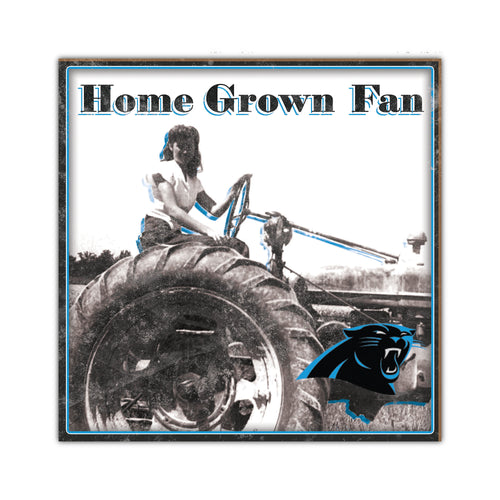 Wholesale NFL2102-Home Grown 10x10 / N2102-Carolina Panthers