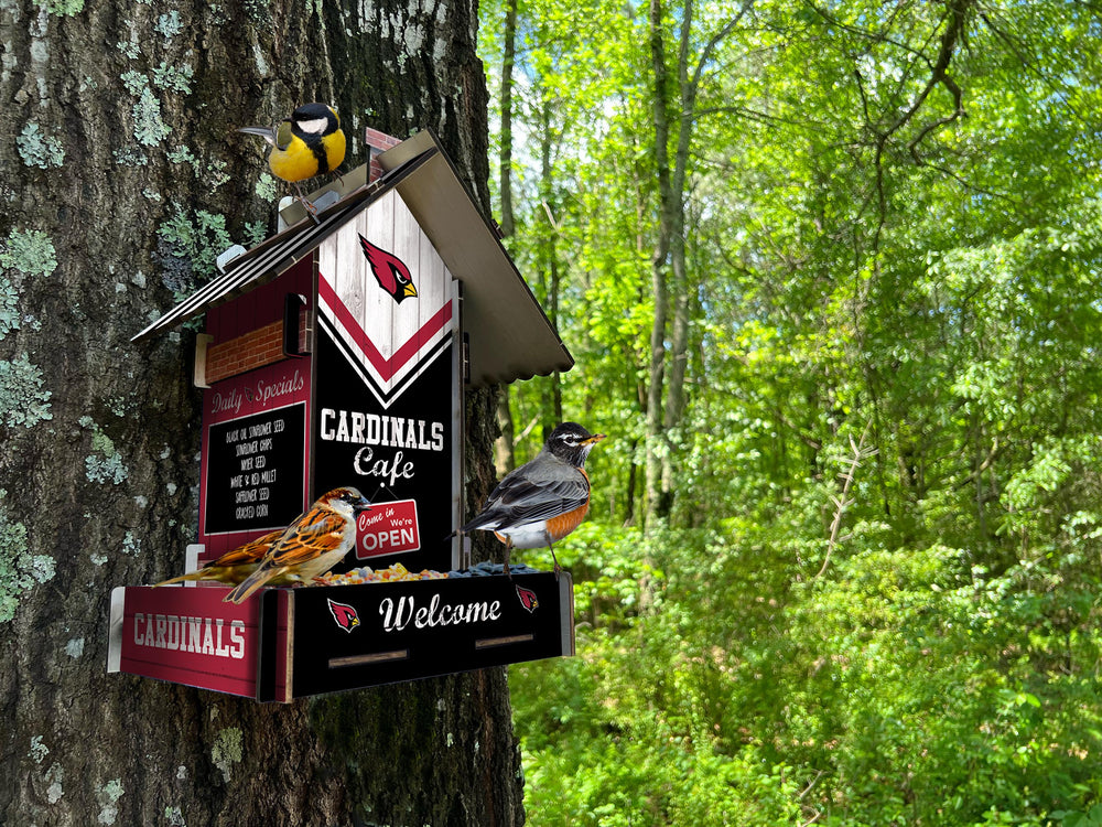 Wholesale NFL2206-Bird Feeder / Lifestyle images / N2206-Arizona Cardinals