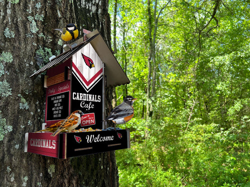 Wholesale NFL2206-Bird Feeder / Lifestyle images / N2206-Arizona Cardinals