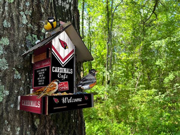 Wholesale NFL2206-Bird Feeder / Lifestyle images / N2206-Arizona Cardinals