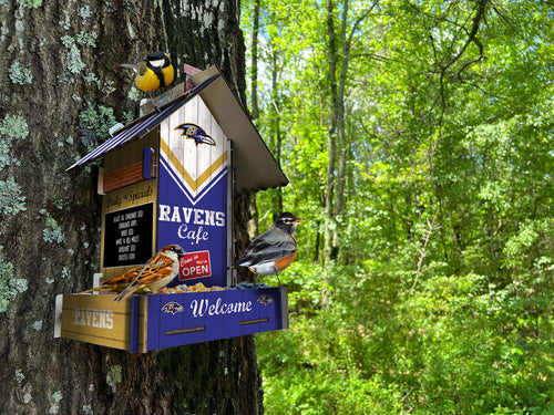 Wholesale NFL2206-Bird Feeder / Lifestyle images / N2206-Baltimore Ravens