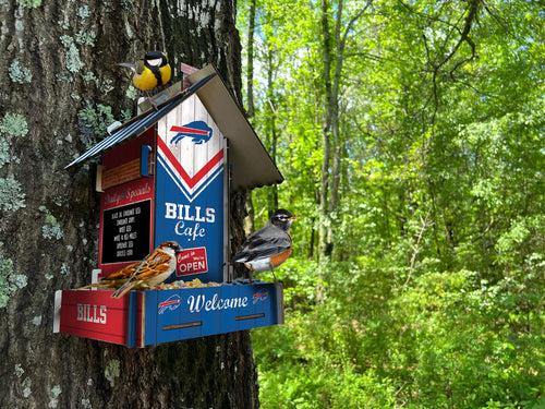 Wholesale NFL2206-Bird Feeder / Lifestyle images / N2206-Buffalo Bills